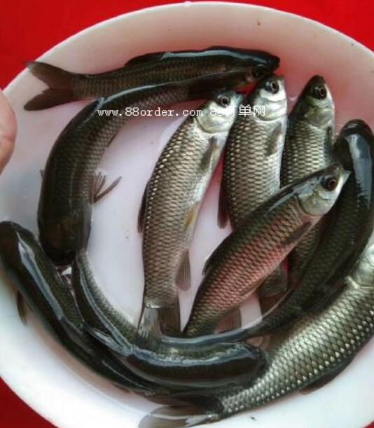 �r(n��ng)�����O��I(y��)��ֵ�������Ƕ���