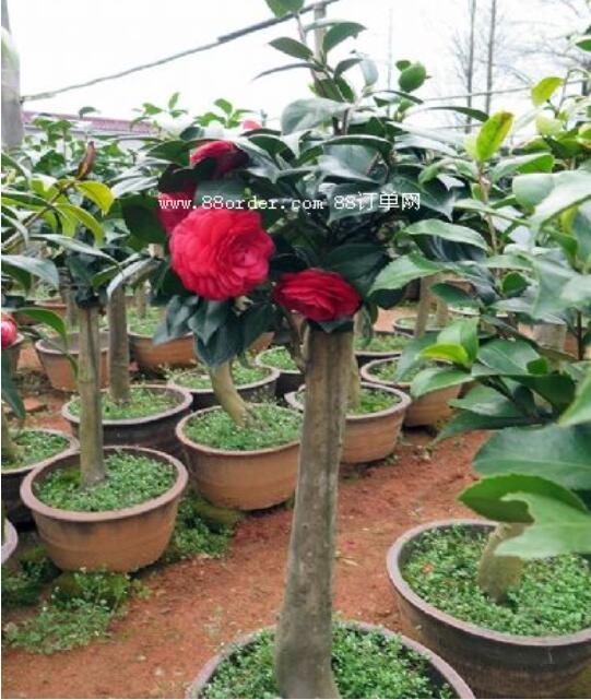 7.92�|Ԫ�Y����������r(n��ng)�����O��