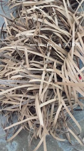 �������~����é��