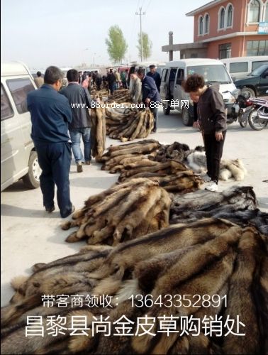 ���Ӻ�؂�B(y��ng)ֳ��(ch��ng)