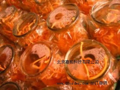 ���x�ĲݷNֲ����