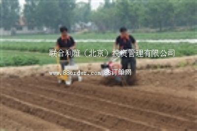 늄��߲˲��N�C �߲˾������N�C