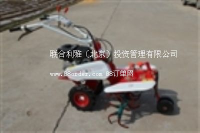 С���߲˲��N�C �����߲˲��N�C