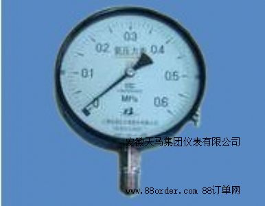 氨用壓力表