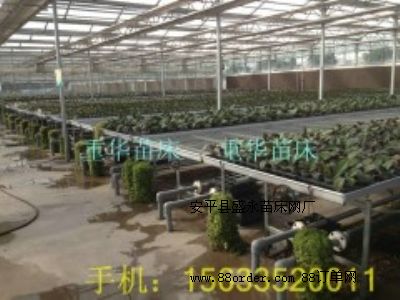 �紲�W(w��ng)/�������紲/�Ƅ��紲/����紲