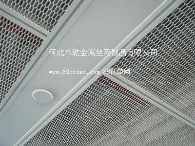 吊頂網(wǎng)裝飾網(wǎng)汽車網(wǎng)