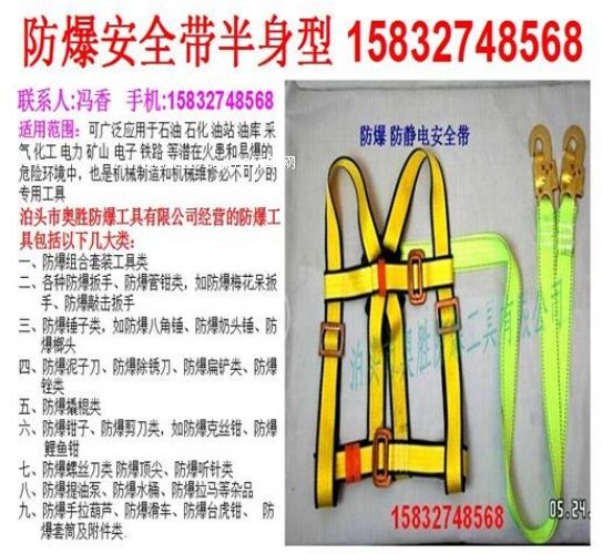 直銷(xiāo)供應(yīng)甘肅EX-ASFJDAQD/B防爆安全帶半身型