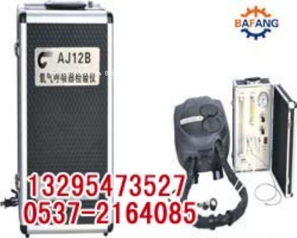 ���������У�xAJ12B