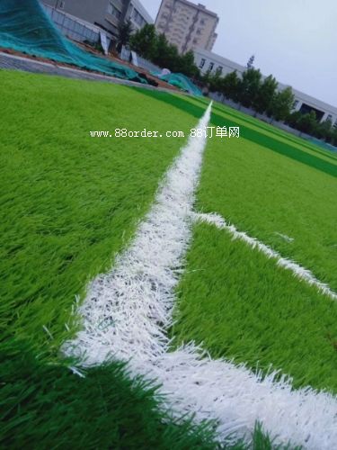 �����ƺ�������Ҫ�����X��