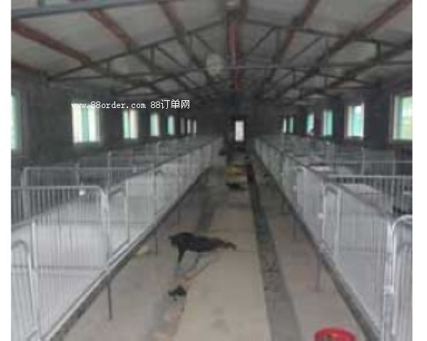 �a(ch��n)�������O(sh��)��