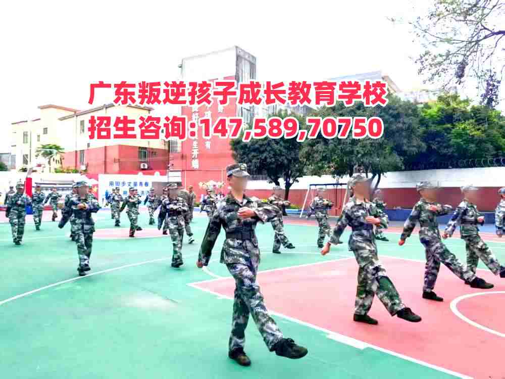 �(y��ng)��������������W(xu��)У�����Ԓ14758970750