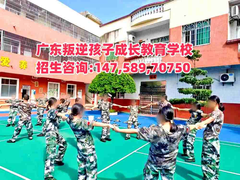 �(y��ng)��С����������W(xu��)У�����Ԓ14758970750