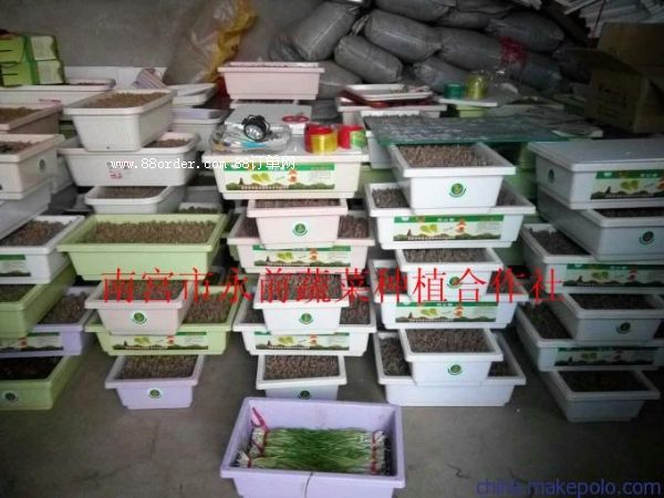 �o�����S��