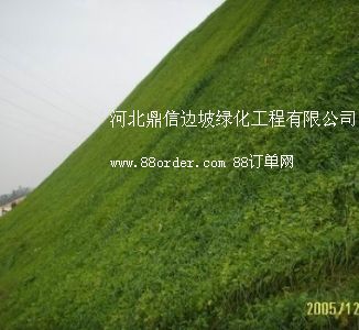 ���I(y��)߅�¾G��ʩ��