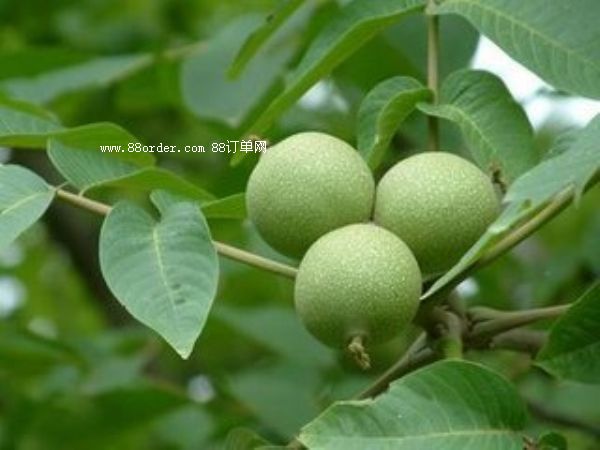 �T�Ϻ������������½�������γ��r���ҵ�