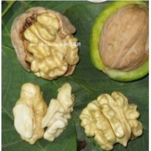 ���T�Ϻ�������ԭ����Ƥ���Ҿ�Ҳ��һζ��ˎ|��Ƥ�������l(f��)