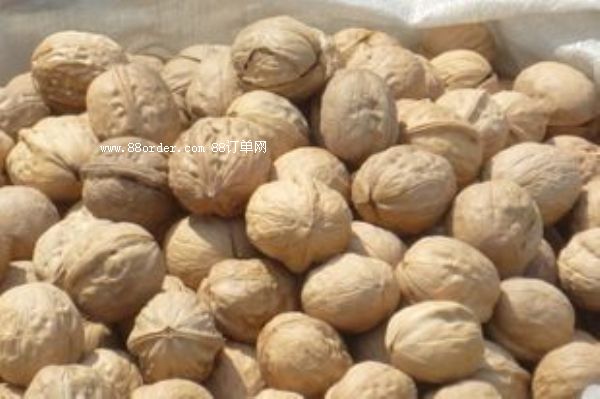 ���T�Ϻ��������r�������l(f��)��02