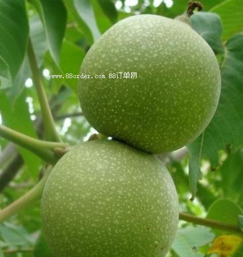 ���T�Ϻ��������r���Һ͸ɺ��ҵą^(q��)�e6