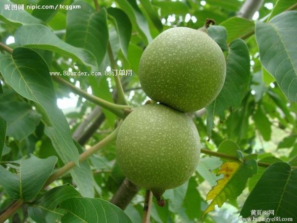 ���T�Ϻ��������r�����B(y��ng)���ٲ���|�������l(f��)6