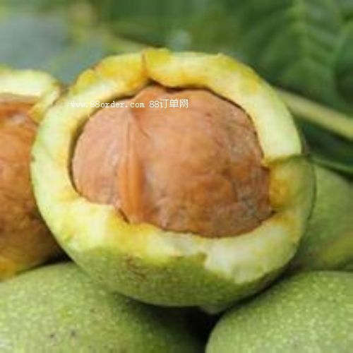 ���T�Ϻ��������ɻ����O�ߵĺ��������@��|���������l(f��)