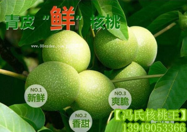 ���T�Ϻ���������185������̓r(ji��)���l(f��)��|���������l(f��)