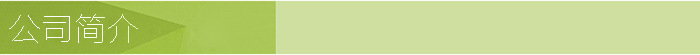公司簡介1