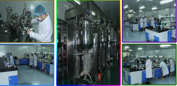 ���(��i) 13647599471