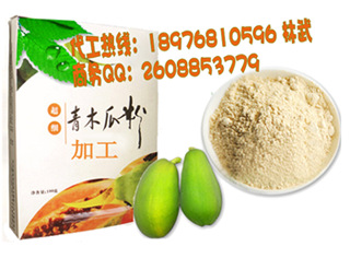 水果粉加工2_conew1