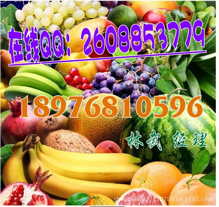 復合果蔬代餐粉2_conew1