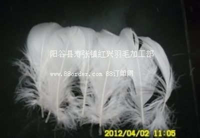 �S����������(y��ng)��(y��u)�|(zh��)�İ��Zɢ���h �ṩ��(y��u)�|(zh��)��Ȼ����ԭ����q