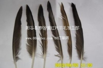 �S����������(y��ng)��(y��u)�|(zh��)���ѻ����� �N����Ȼ����ԭ�� ����ԭ�����l(f��)