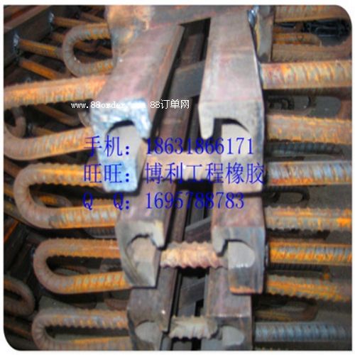 天天有活動的 D40橋梁伸縮裝置 博利正在促銷中