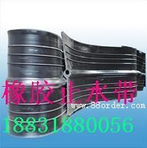 生物池橡膠止水帶