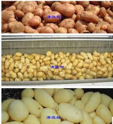 ɽ�|���_(t��i)����ë݁���ϴ�C(j��)������ϴ�C(j��)