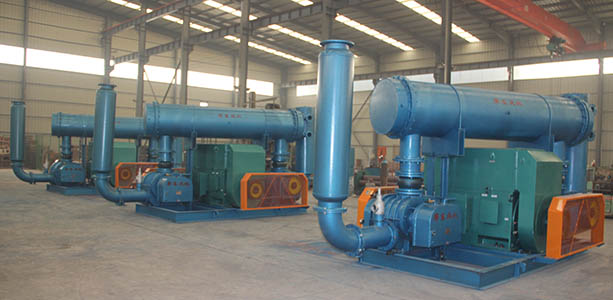 水產(chǎn)養(yǎng)殖羅茨風(fēng)機 水產(chǎn)養(yǎng)殖羅茨風(fēng)機