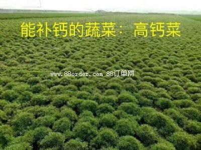 �Ĵ�����Դ�r(n��ng)�I(y��)���޹�˾