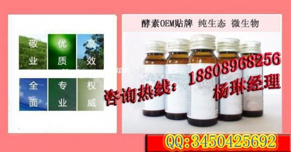 ���߽���O��ϼӹ��������ƷOEM�N��-�Ϻ��а�˹��