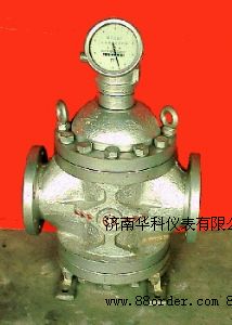 腰輪羅茨流量計(jì)