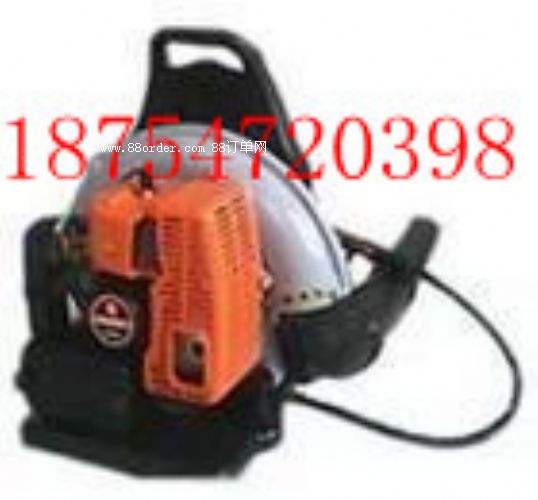 ��ؓ(f��)ʽ���L(f��ng)�C