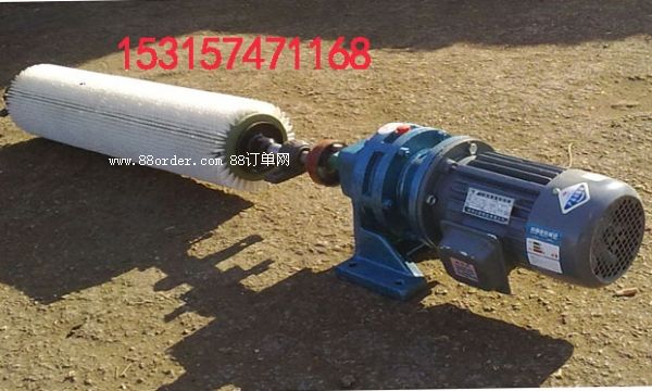 �LͲƤ�������  ���������