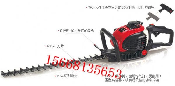 �����f�ξG�h�C�S��ֱ�N ��̓r��