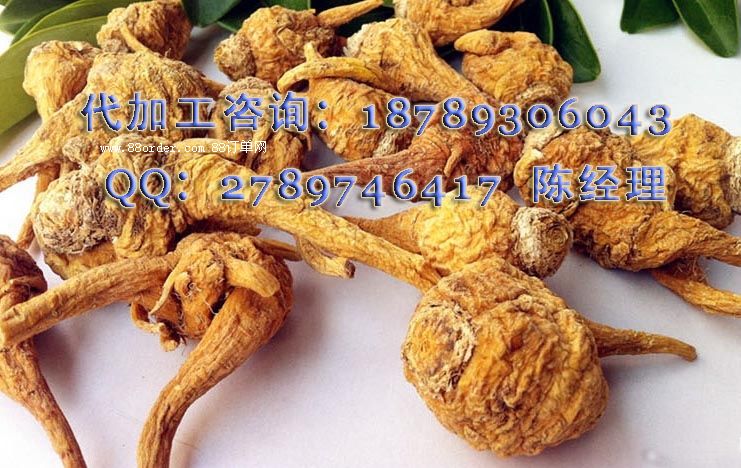 Ӽ�x(ch��ng)�����OEM ��MACA������ϼӹ�