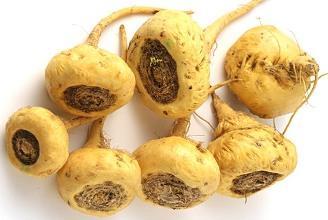 qq�؈D20141011100502