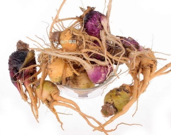 �����ɹ����ϼӹ�|�zԭ�����Ʒ�N��