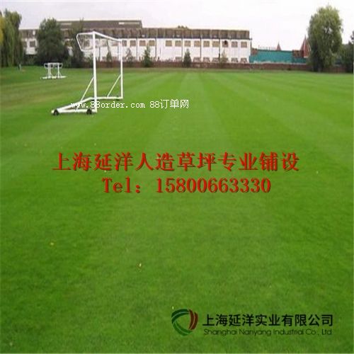 宿豫人造草坪行業(yè)領(lǐng)先