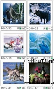 3dӡˢ΢��(hu��)