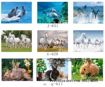 ����PET PP 3D���w�� ��ˇ�� 3D���w��׃��׃�D ��