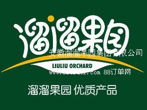 ����������@���F���޹�˾