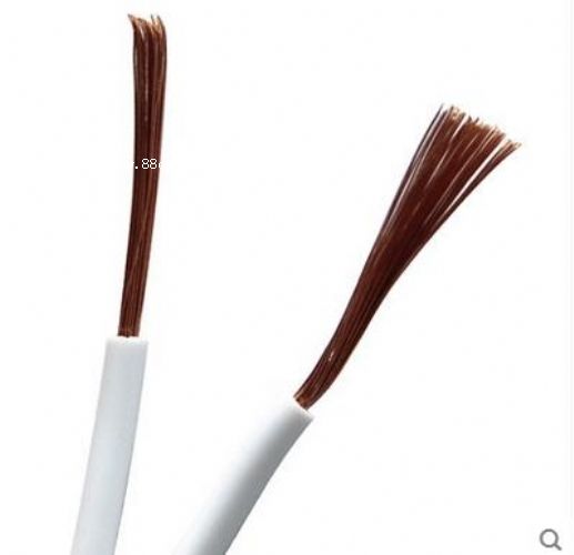 滄州型號(hào)電線(xiàn)哪里有銷(xiāo)售