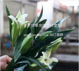 ���������ٺϣ����^�������r�����l(f��)